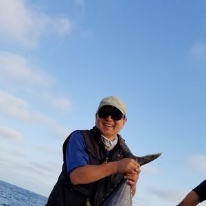 Meet your Posher, Young